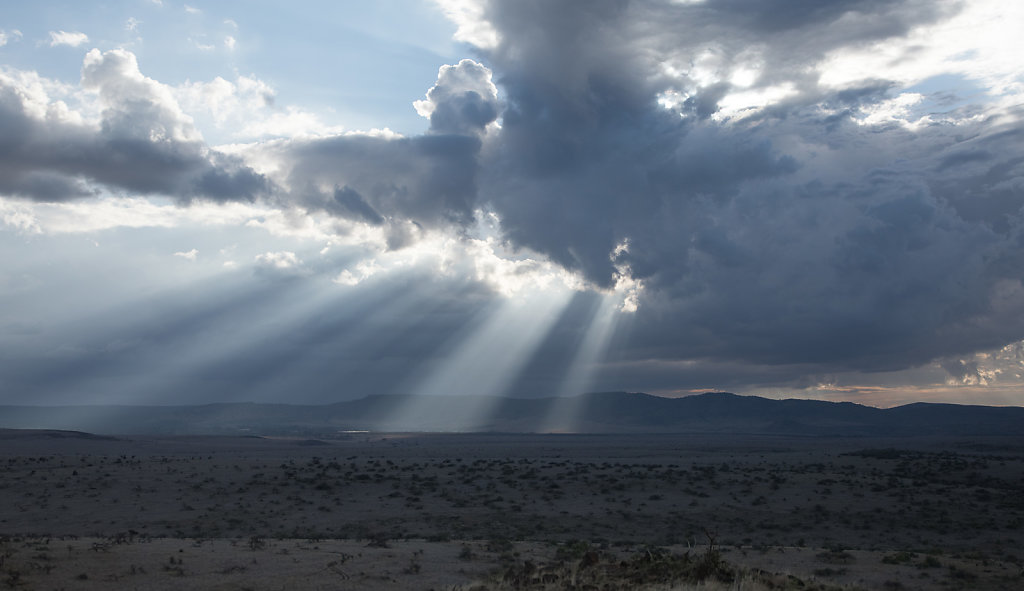 Sun-Rays-at-Lewa.jpg